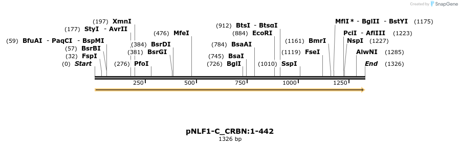 411614_map