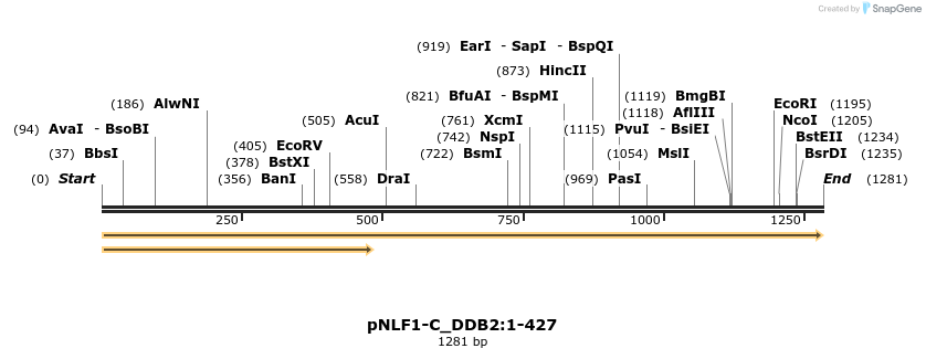 411618_map