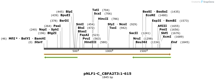 411620_map