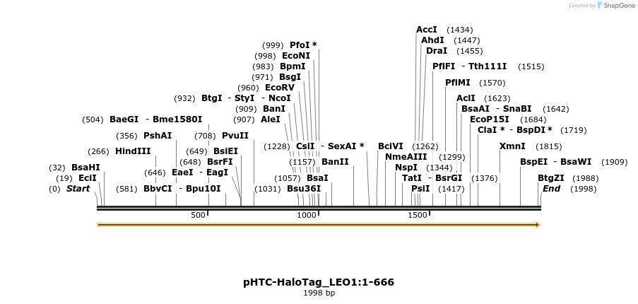 411628_map