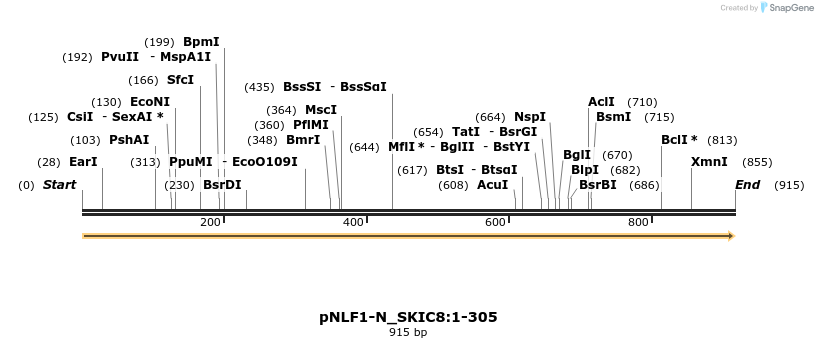 411638_map