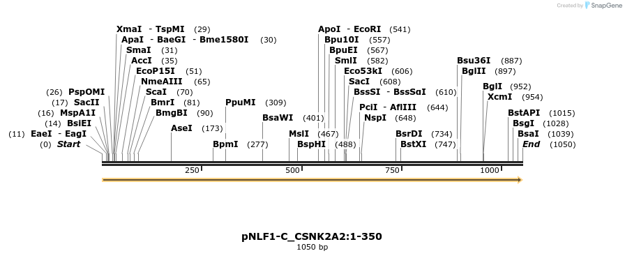 411642_map