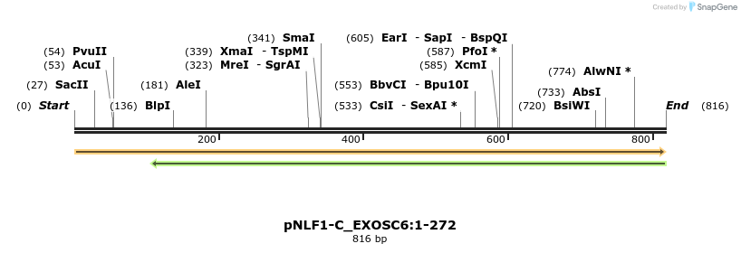 411648_map