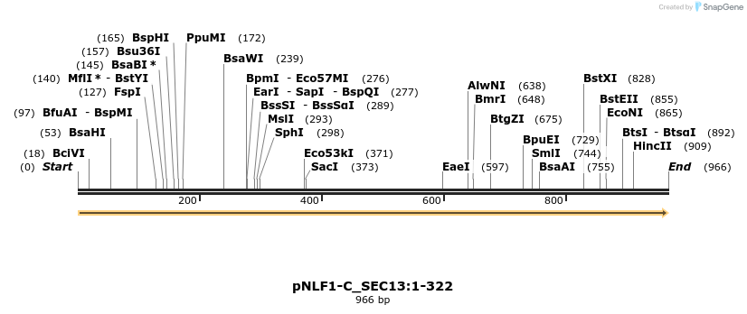 411654_map
