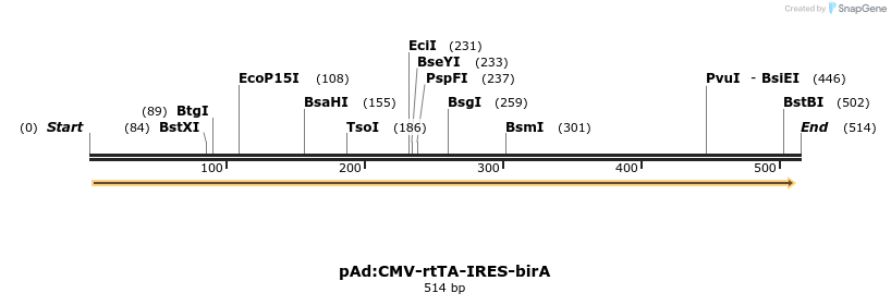 41166_map