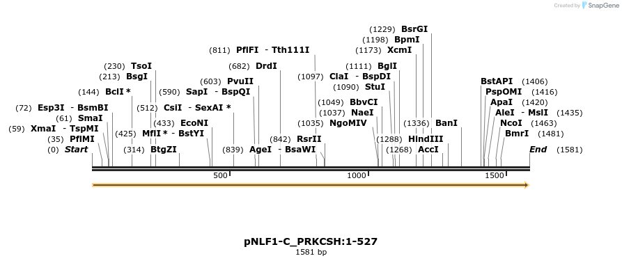 411662_map