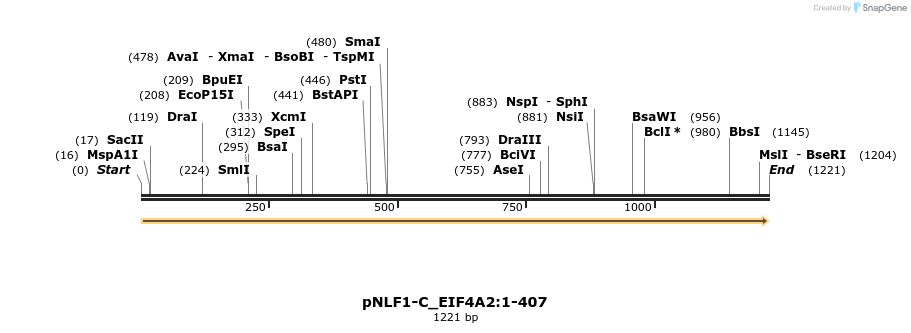 411664_map