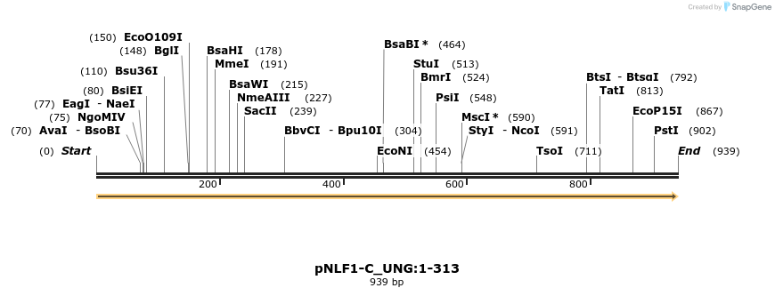 411666_map