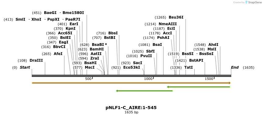 411668_map
