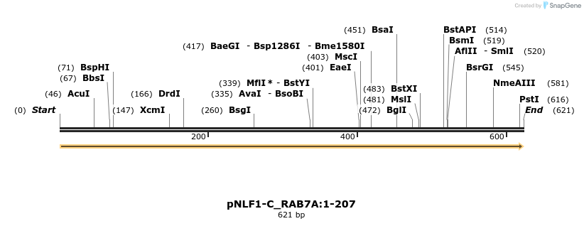 411676_map
