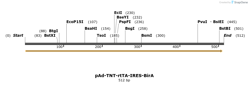 41169_map