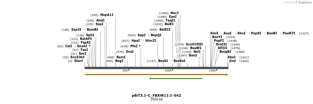 411690_map