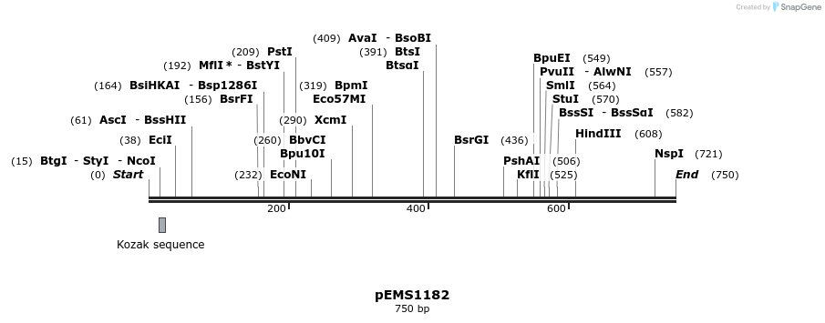 41170_map
