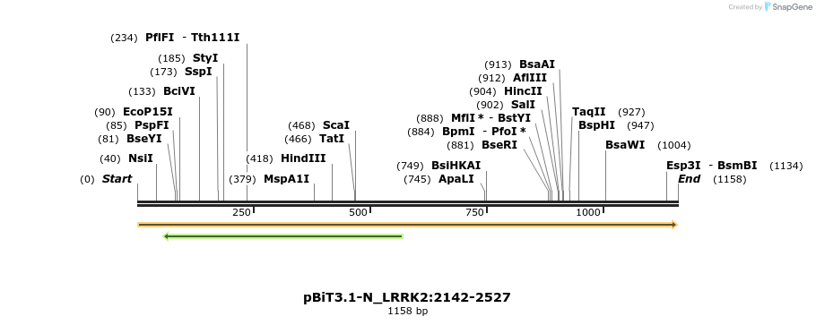 411704_map