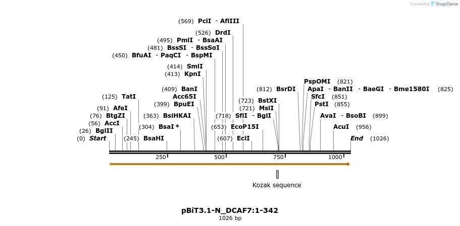 411714_map
