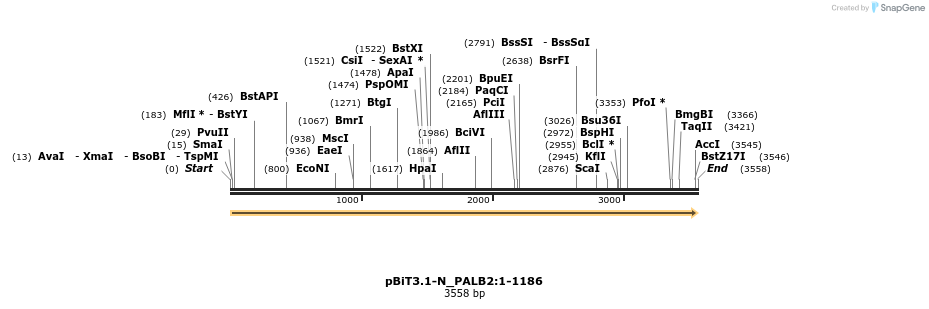 411716_map