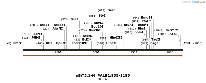 411718_map