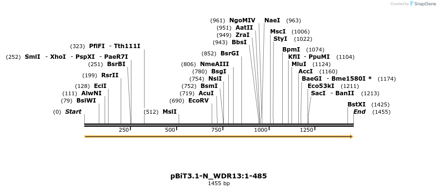 411720_map