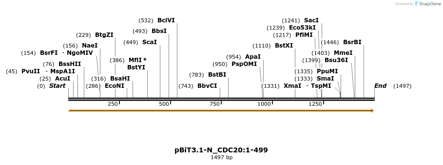 411722_map
