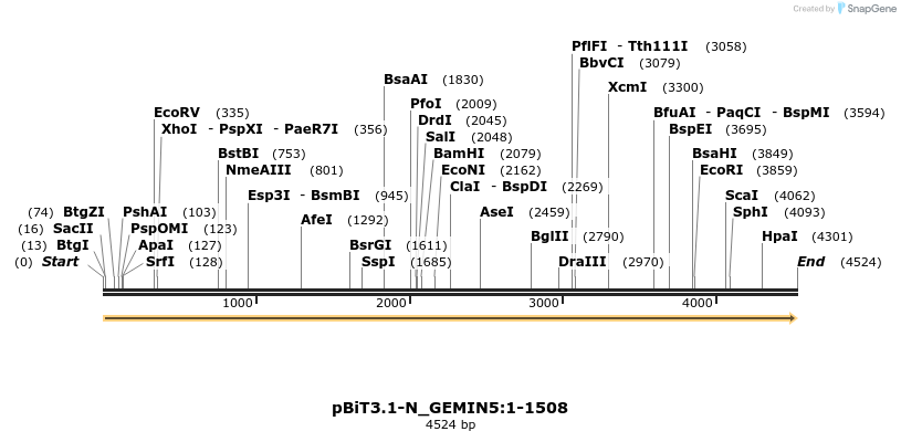 411724_map