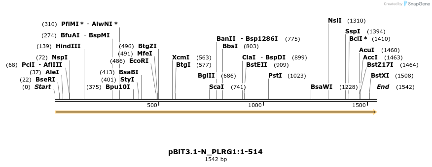 411728_map
