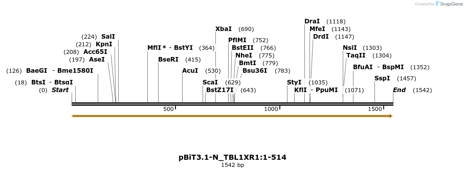 411730_map