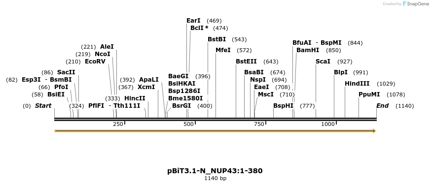 411738_map