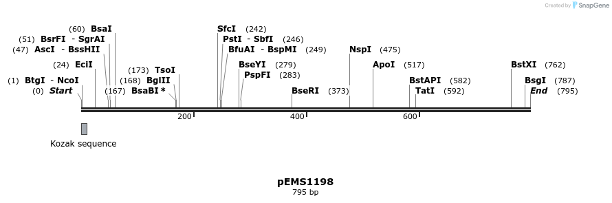 41174_map