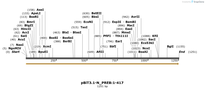 411740_map