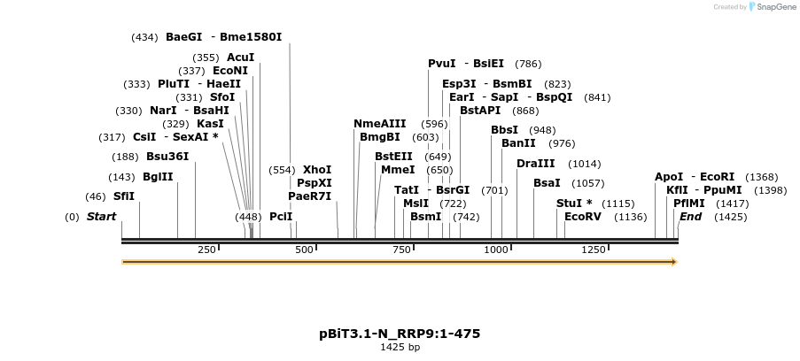 411744_map