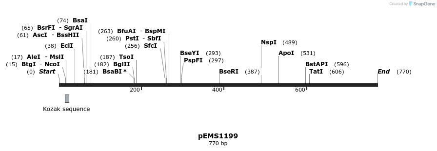 41175_map