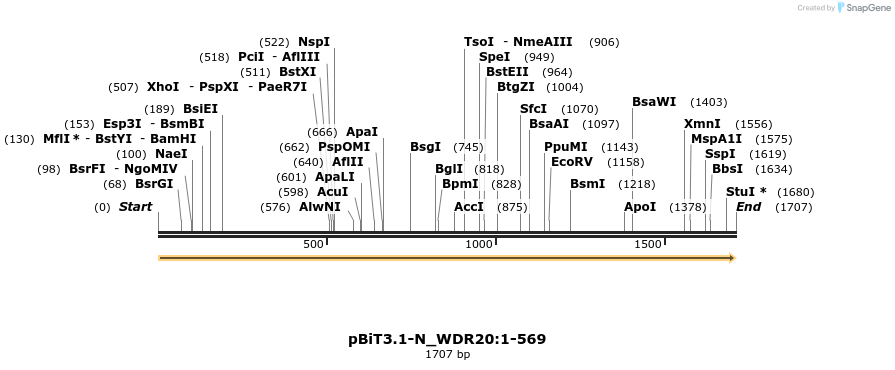 411750_map