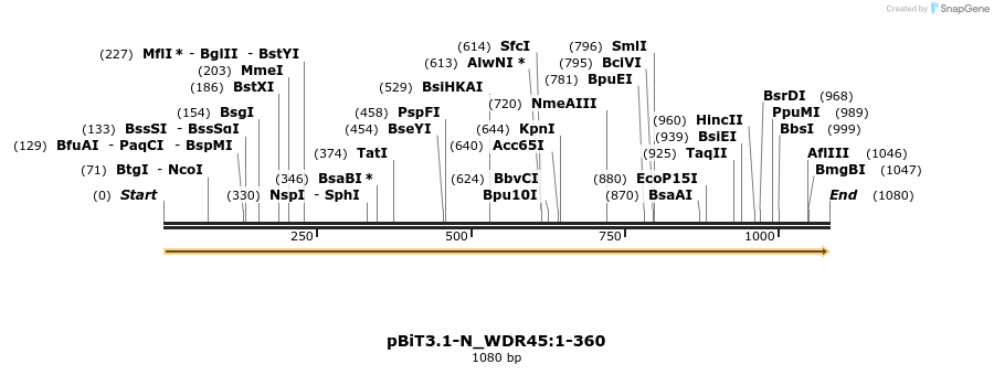 411752_map