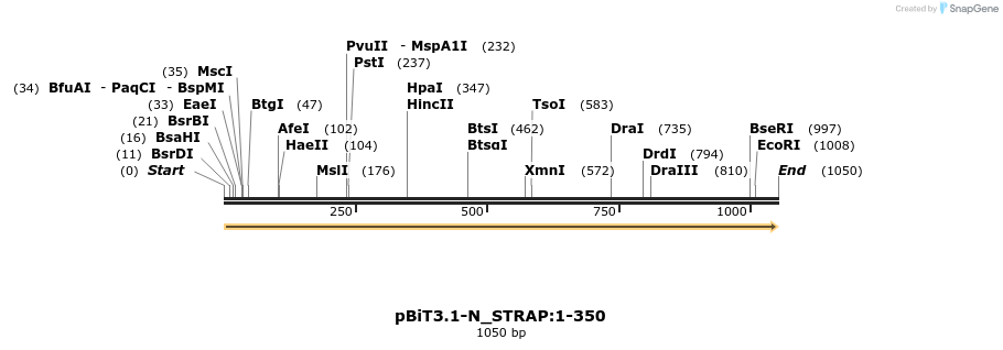 411756_map