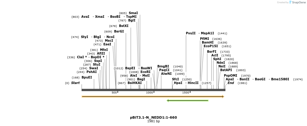 411758_map
