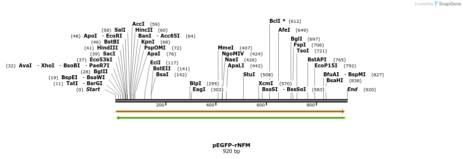 41176_map