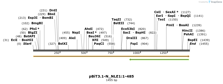 411760_map