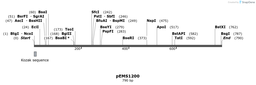 41177_map