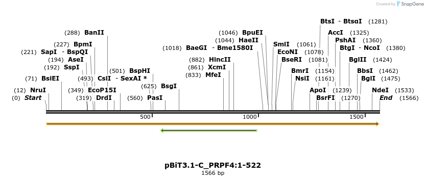 411774_map