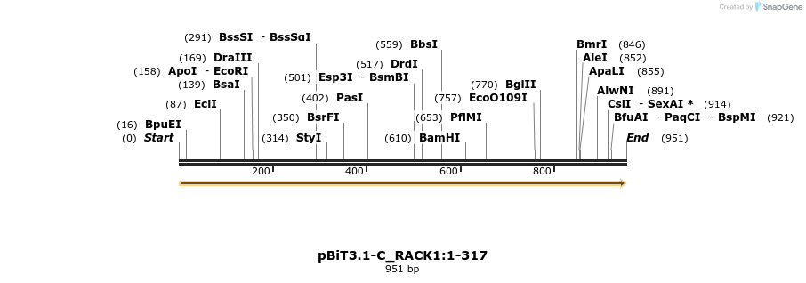 411776_map