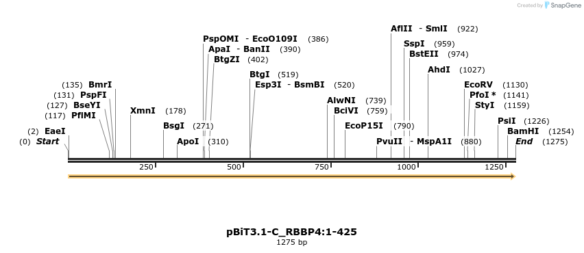 411784_map