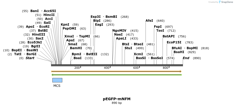 41179_map
