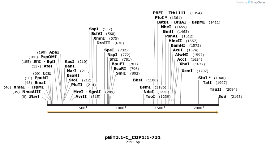 411790_map