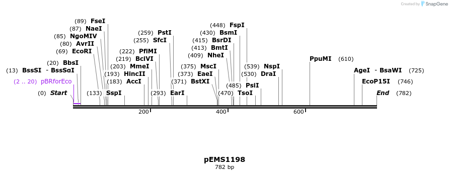 41180_map