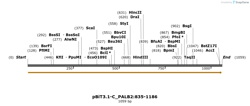 411800_map