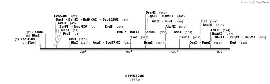 41181_map