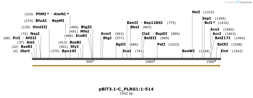 411810_map