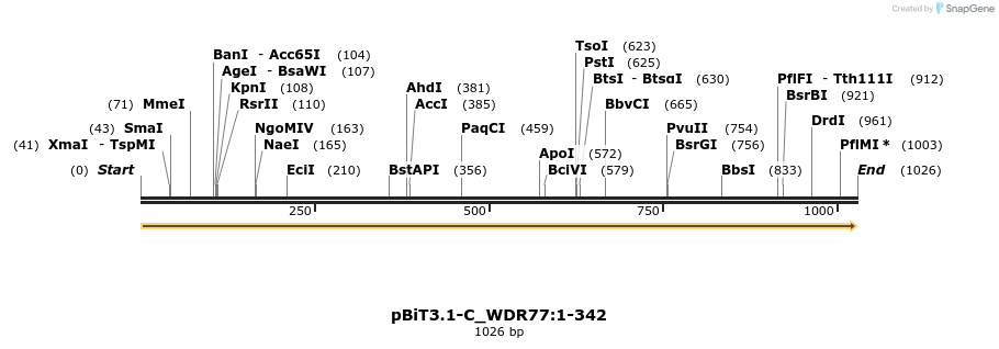 411816_map