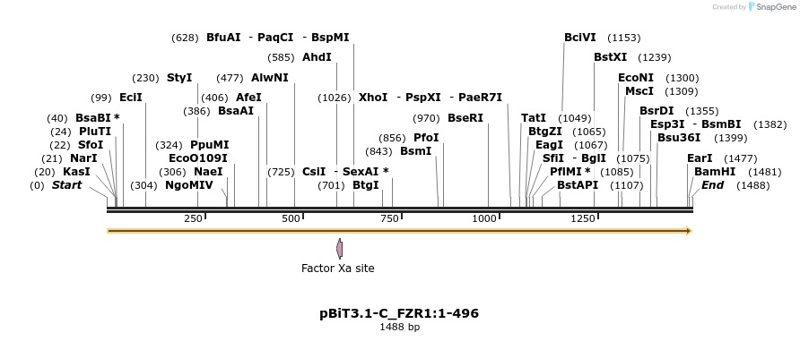 411818_map