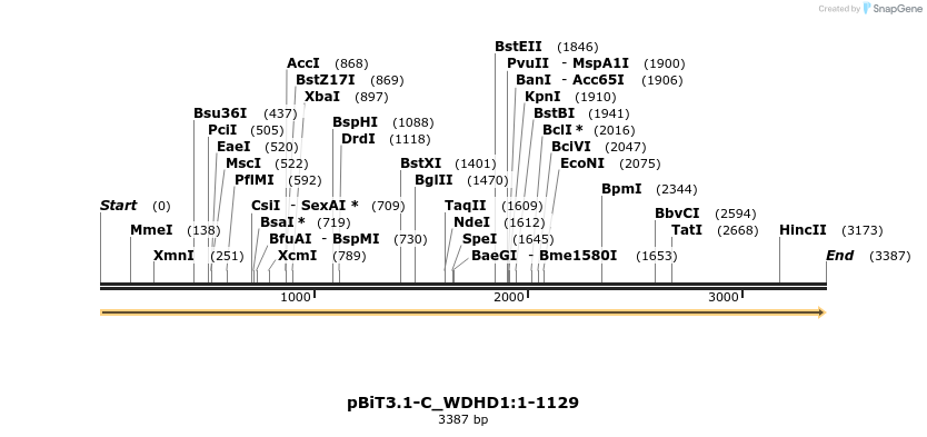 411828_map
